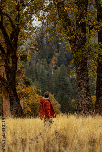 Obraz na płótnie Yosemite w salonie