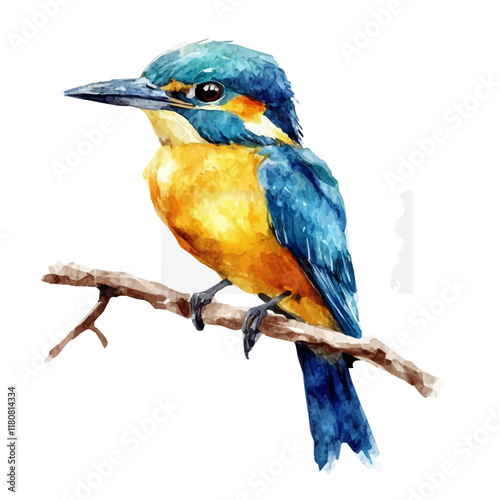 A watercolor vector of a kingfisher perched on a branch, isolated on a white background. Kingfisher perched vector.
