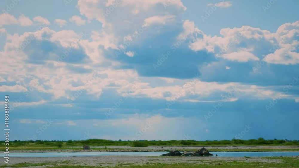 A died decomposed elephant lying in a canal in kruger national park, tanzania. A died decomposed elephant lying in a canal in kruger national park, tanzania.