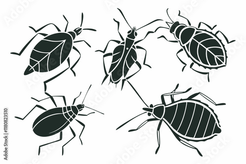 Diverse Aphid Silhouettes Collection on Clean White Background