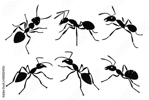 Army Ant Silhouette Collection on White Background Various Types