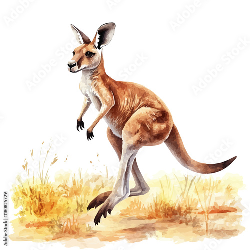 A watercolor of a kangaroo hopping across the Australian outback, isolated on a white background. Kangaroo hopping vector.
 photo