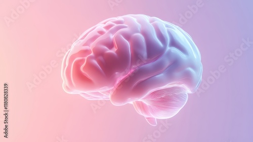 A brain with pink and purple colors