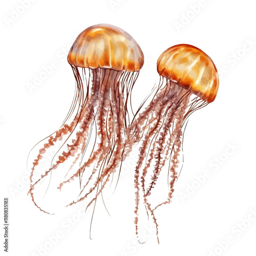 A watercolor clipart of a jellyfish floating in deep water, isolated on a white background. Jellyfish floating vector.
