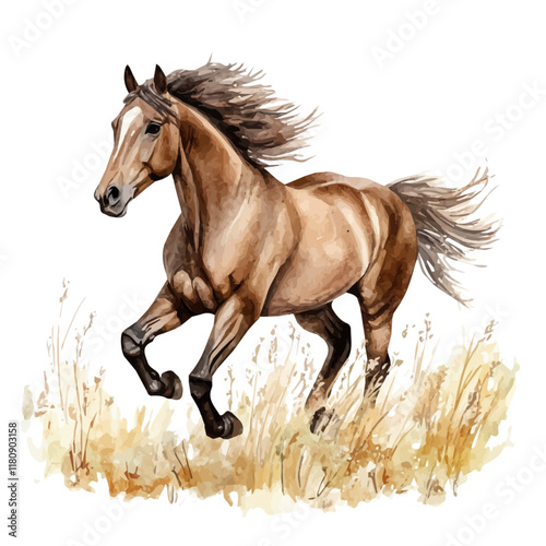 A watercolor illustration of a horse galloping in a meadow, isolated on a white background. Horse galloping vector.
