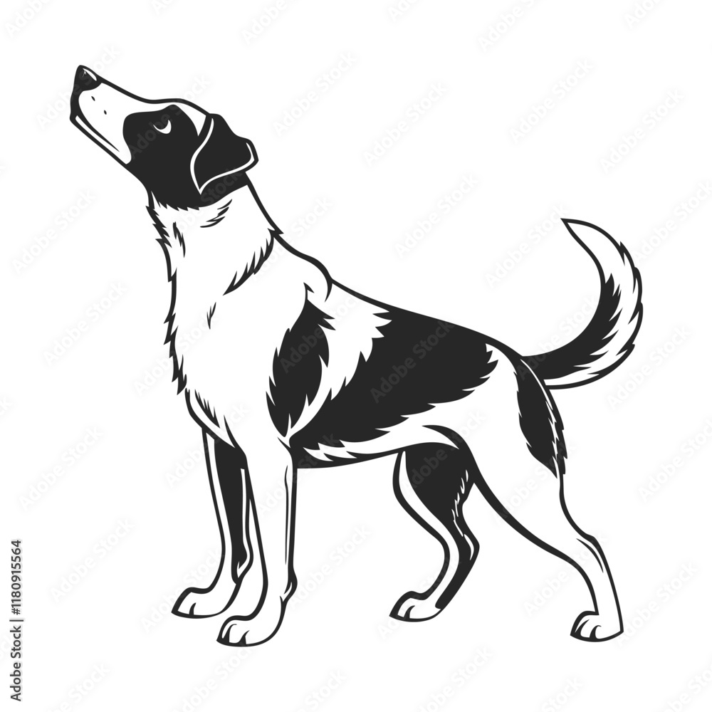 Powerful Hunting Dog Silhouette, Black and White Illustration Powerful Hunting Dog Silhouette, Black and White Illustration