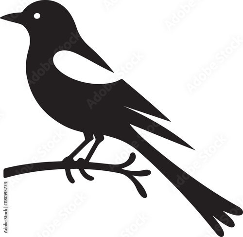 Magpie Silhouette Perched on a Branch Vector Graphic Illustration