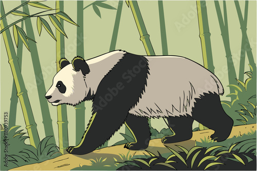 Giant panda, realistic, detailed fur, black and white coloration, side view, standing pose, wildlife photography, nature, Chinese fauna, endangered species, bamboo forest background, high resolution, 