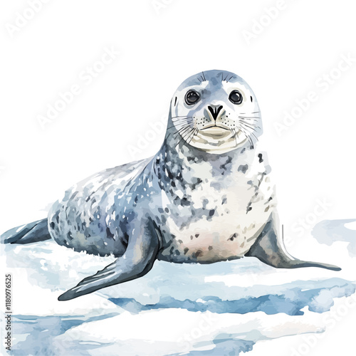 A watercolor painting of a harp seal resting on ice, isolated on a white background. Harp seal resting on ice vector.
