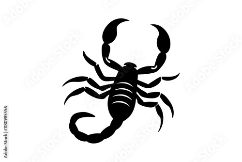 scorpion contour minimalism vector silhouette