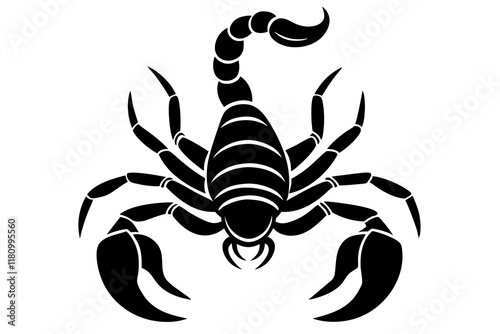 scorpion contour minimalism vector silhouette