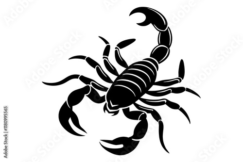 scorpion contour minimalism vector silhouette