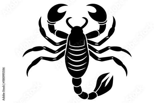 scorpion contour minimalism vector silhouette