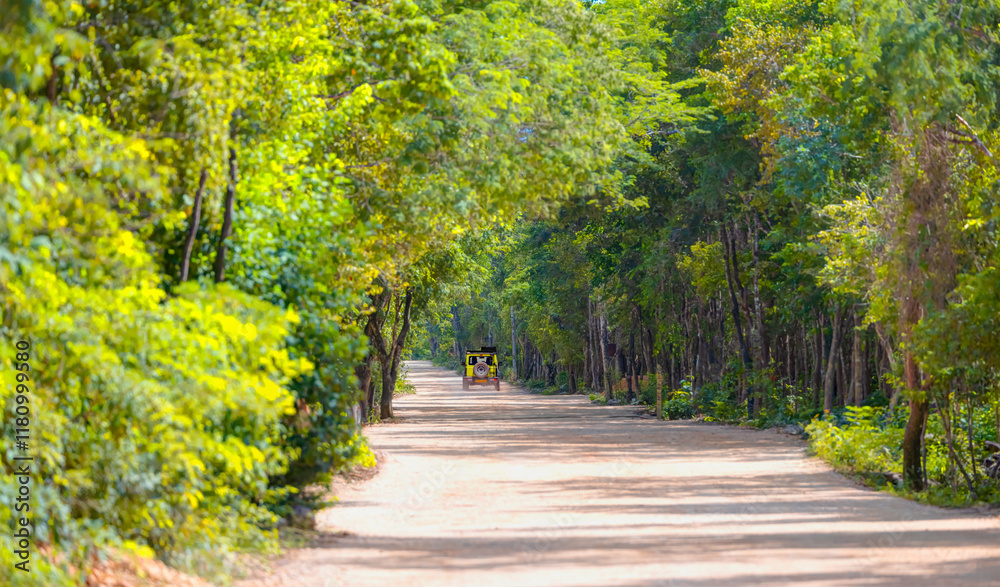 Naklejka premium A red dirt road leading into the dense forest with yellow car - Chichen Itza, Mexico