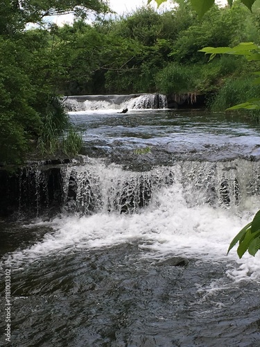 waterfall in the forest