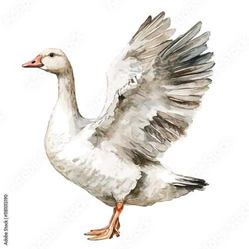 A watercolor of a goose flapping its wings in a farmyard, isolated on a white background. Goose vector.
