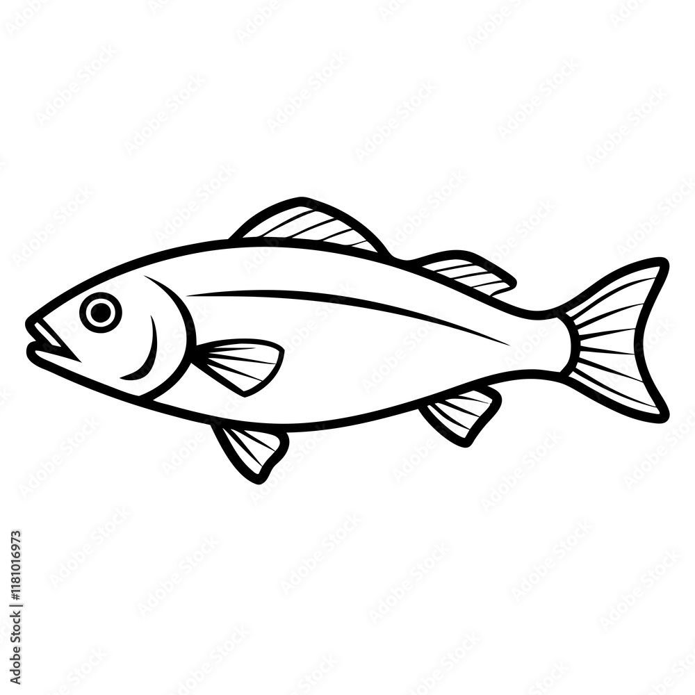 fish on a white background fish on a white background