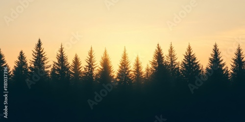 Silhouette of a pine forest against the sky, featuring a striking view. This image captures the essence of a pine forest silhouette, perfect for adding your text or message.