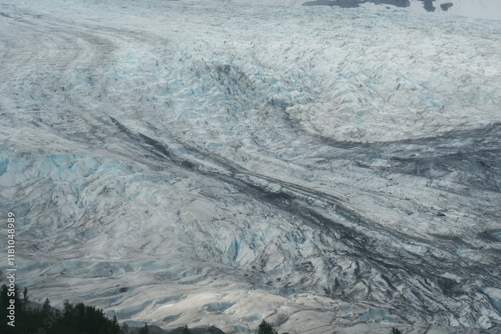 Naklejka premium Scenic views of a glacier in Glacier Bay National Park in southeast Alaska 