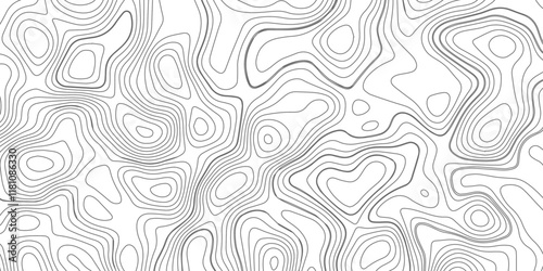 Abstract topography wave lines pattern on white background, topographic contours map background, geographic contour map vector background, White paper curved reliefs for background.