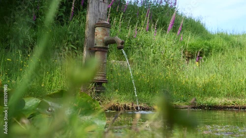 Rusty pipe is dripping water into a pond. The water is clear and the grass around the pond is lush and green