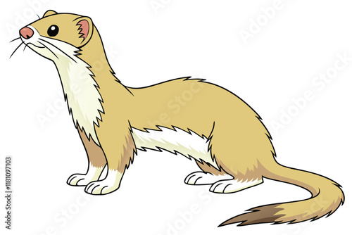 Weasel, stoat, ferret, small carnivorous mammal, realistic, detailed fur, golden brown coat, white underbelly, pink nose, black eyes, long slender body, curved tail, standing pose, side view, isolated