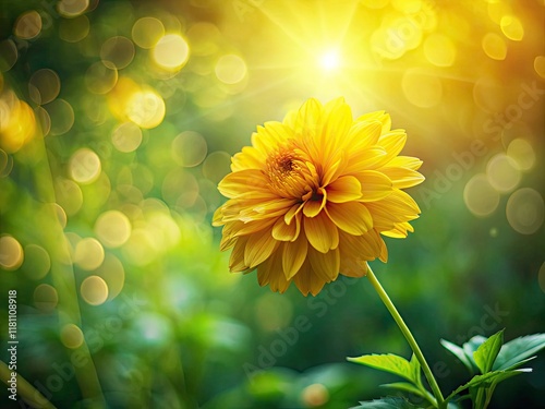 Yellow Flower Garden Bloom, Spring Flowers, Sunny Day Blossom, Vibrant Yellow Wildflower Photography