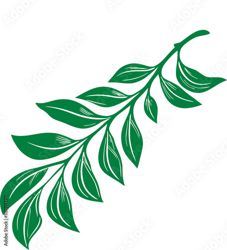 Leaf design, botanical clip art, leaf vector, plant illustration, leaf art, nature graphics