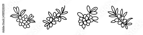 sea buckthorn icon, fruits line art, fruits icon - simple black line art icon of sea buckthorn perfect for logos, and fruits-themed designs.