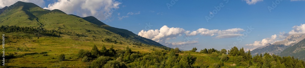 Fototapeta premium A stunning panoramic shot showcasing verdant hills with scattered trees and a bright blue sky adorned with fluffy clouds, capturing the beauty of nature on a clear day