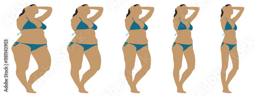 Conceptual fat overweight obese female vs slim fit healthy body after weight loss or diet on white background banner. A  fitness, nutrition or obesity, health shape illustration vector as silhouettes