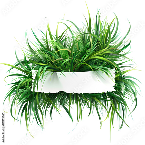 Green Grass Clipart Vector Illustration photo