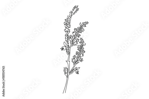 Continuous one line drawing beauty fresh heather for home decoration wall art poster. Decorative calluna vulgaris flower for floral invitation card. Single line draw design vector graphic illustration