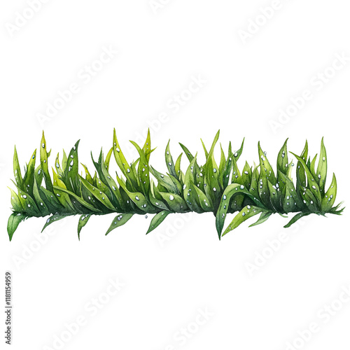 Green Grass Clipart Vector Illustration photo