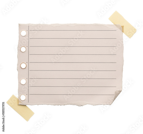 High-Quality PNG torn lined paper note on white background