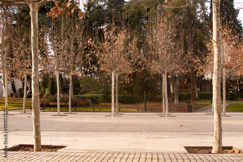 Tbilisi, Georgia - January 30, 2023: Deda Ena park in Tbilisi photo