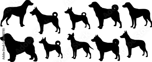 Tisk, vector set of dogs Transparent background PNG cutout.