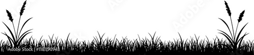 Vector silhouette of meadow on white background. Symbol of nature with grass. Transparent background PNG cutout.