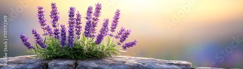 Resilient purple flowers flourishing on a rocky surface, testament to nature's beauty