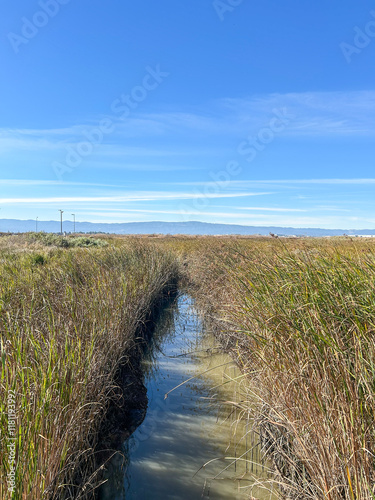 Alviso Marina County Park photo