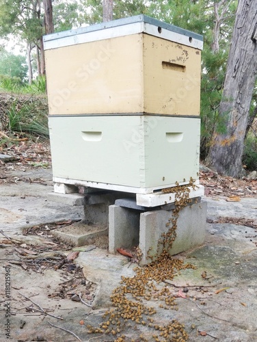 Bees walking into a beehive