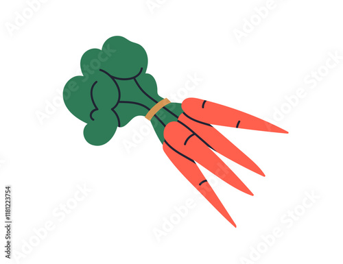 Carrots bunch. Farm vegetables with leaf tops. Crunchy root veggie, vitamin crop, fresh healthy carotene food. Organic natural harvest. Flat graphic vector illustration isolated on white background