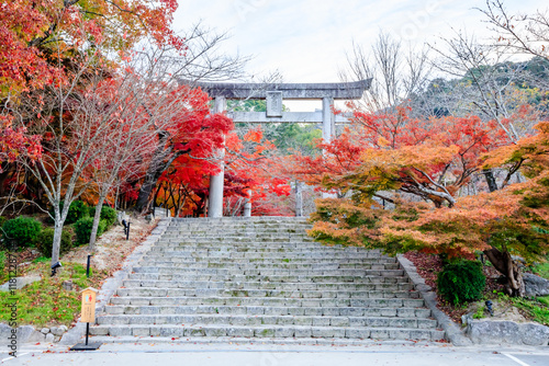 秋の竈門神社　福岡県太宰府市　Kamado Shrine in autumn. Fukuoka Pref, Dazaifu City. photo