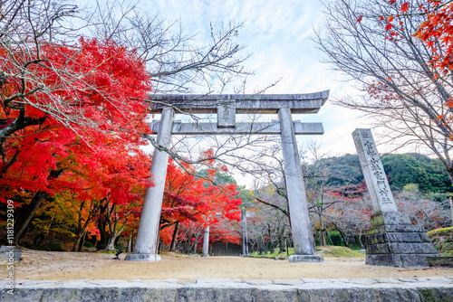 秋の竈門神社　福岡県太宰府市　Kamado Shrine in autumn. Fukuoka Pref, Dazaifu City. photo