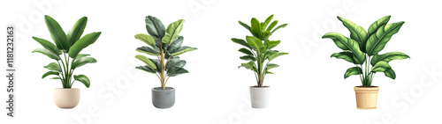 Wallpaper Mural collection of decorative banana plants isolated on transparent background Torontodigital.ca