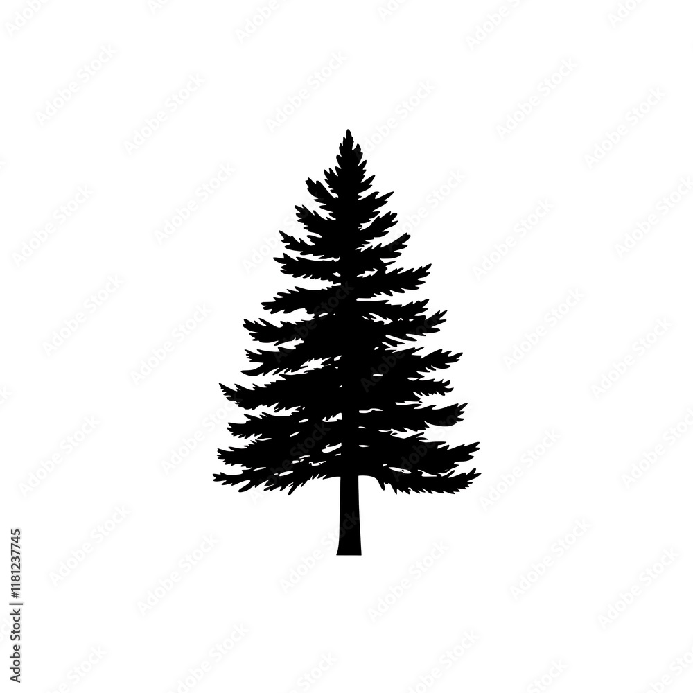 Fototapeta premium Black silhouette of a coniferous tree.