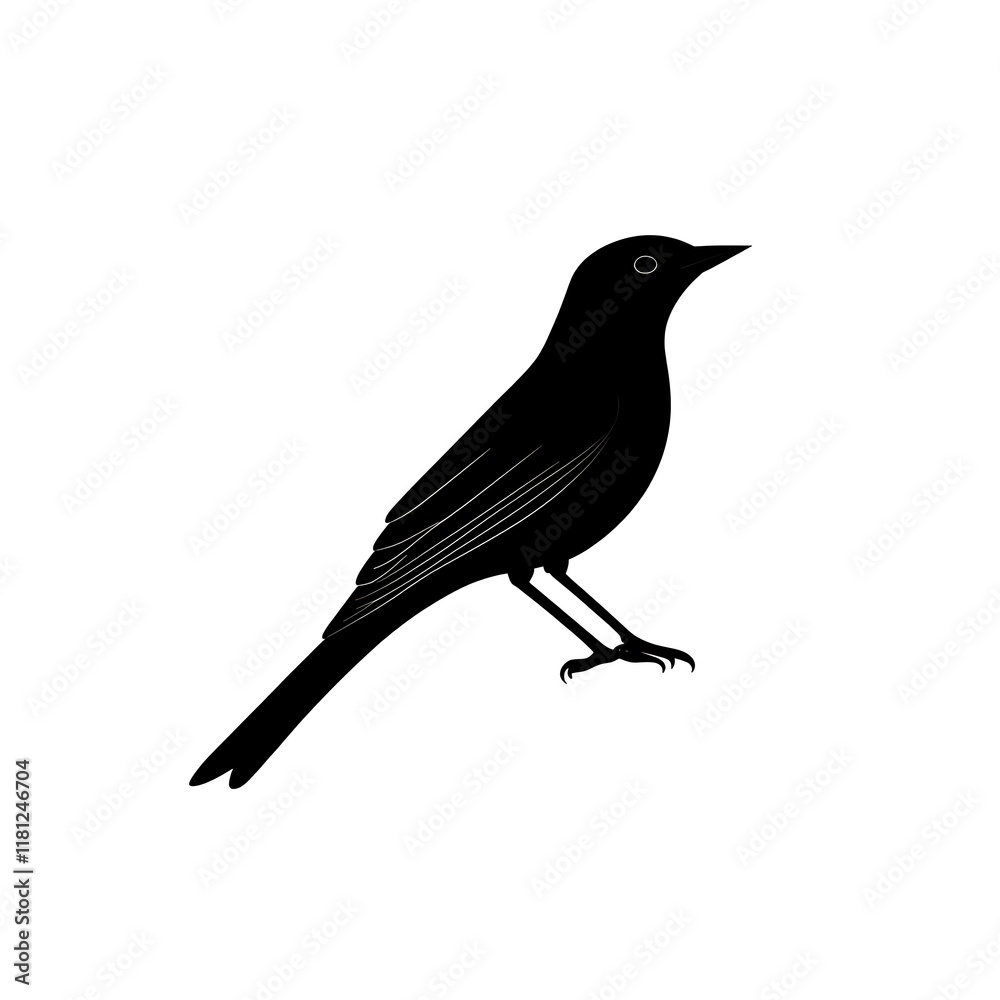 Obraz premium Black silhouette of a small bird perched.
