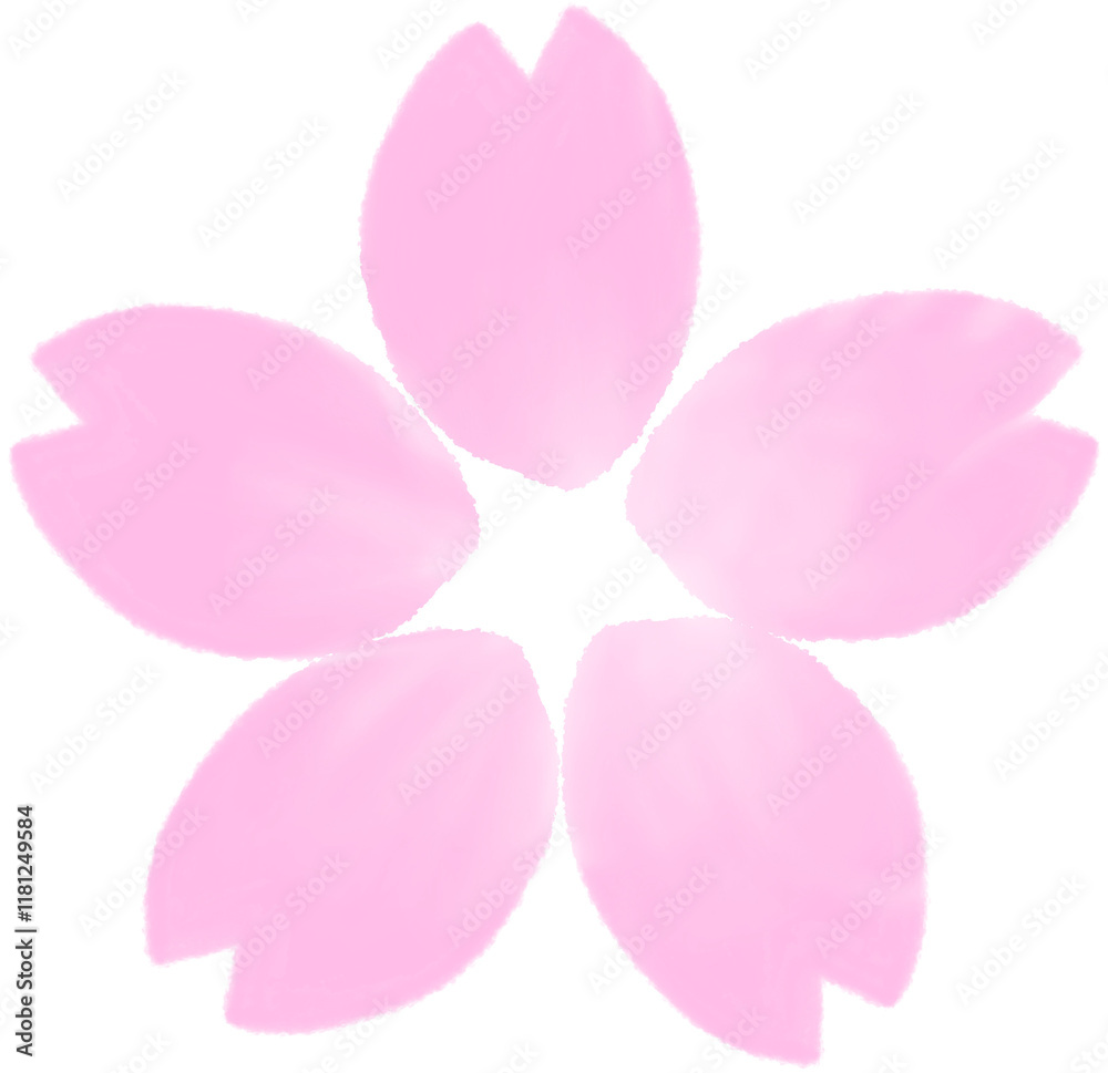 벚꽃 벚꽃