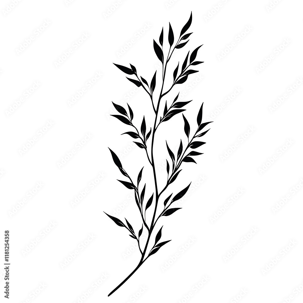 Fototapeta premium Simple black line drawing of a leafy branch.