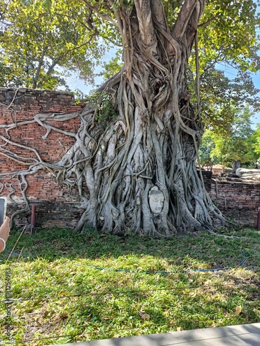 Ayutthaya - Bangkok